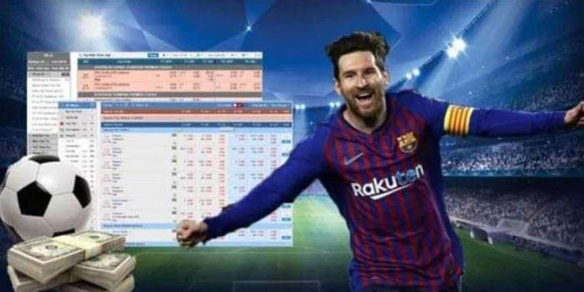 Guide To Predicting Vietnamese football betting odds