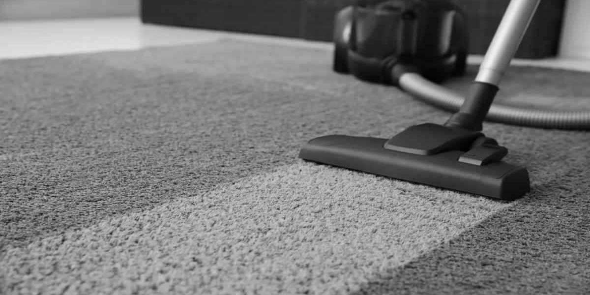 Revitalize Your Home: The Importance of Professional Carpet Cleaning
