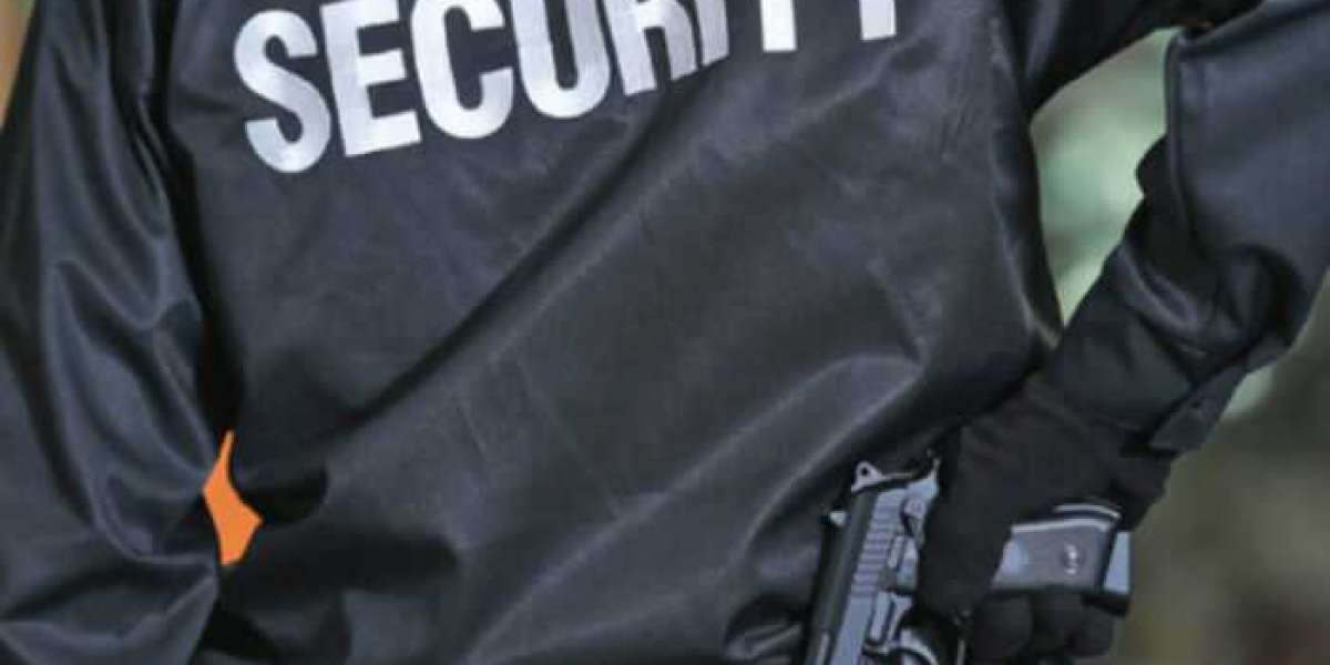 How to Pick the Best Armed Security Guard Company for Your Requirements