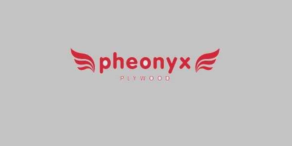 Plywood Manufacturers in Delhi