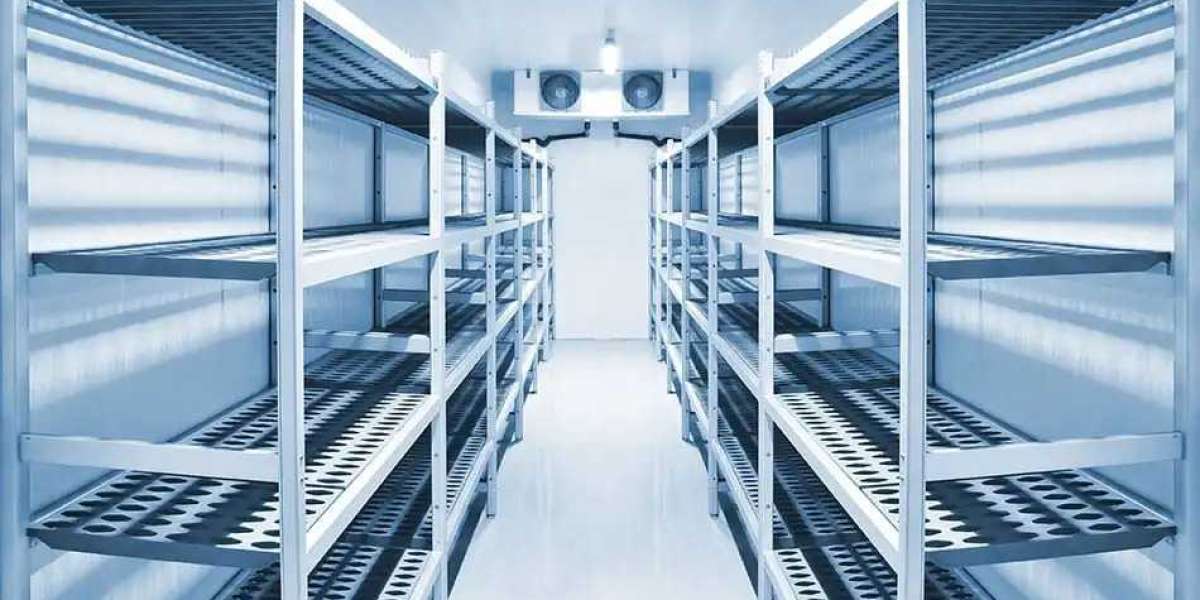 Key Considerations When Designing a Cold Room Facility