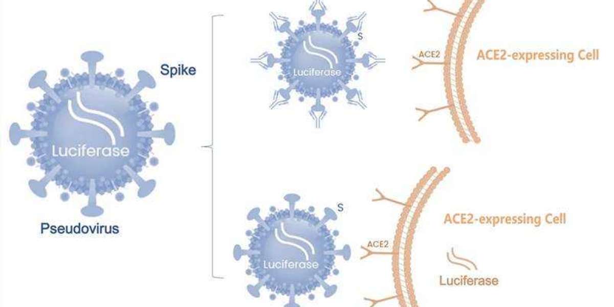 Join Our Upcoming Webinar! Unlock the Role of Astrocytes in CNS Inflammation